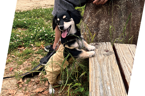 休日は、散歩と癒しのセットで